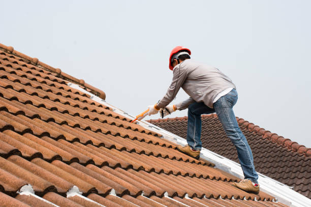 Best Asphalt Shingle Roofing  in Flora Vista, NM