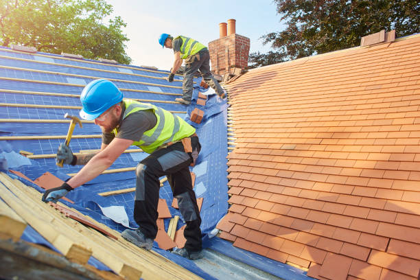 Best Skylight Installation and Repair  in Flora Vista, NM